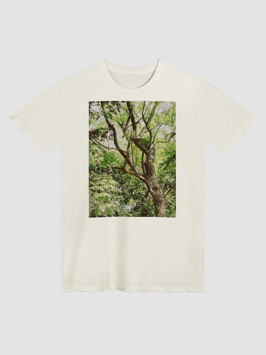 EARTH TONE DIVINE MUSIC TEE product image (1)