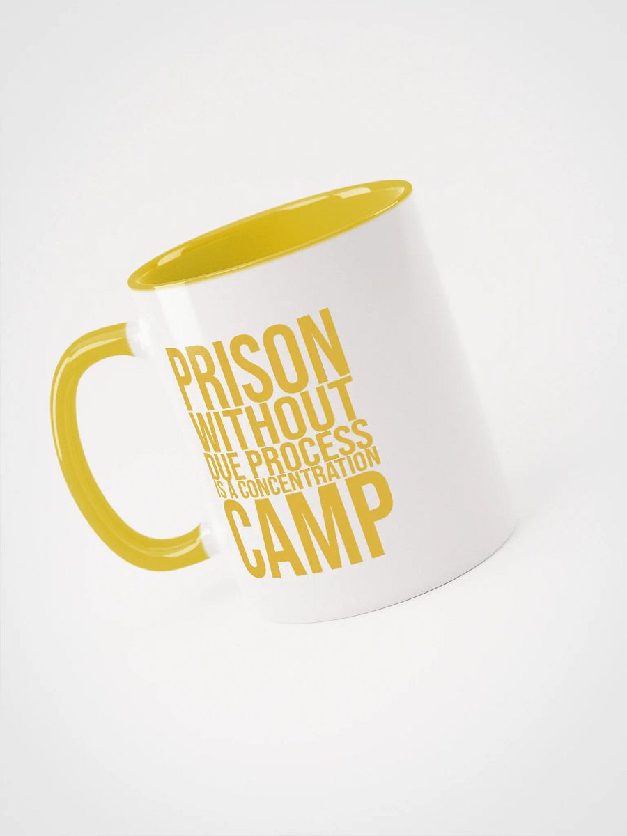 Due Process Concentration Camp Mug- Being Liberal product image (3)