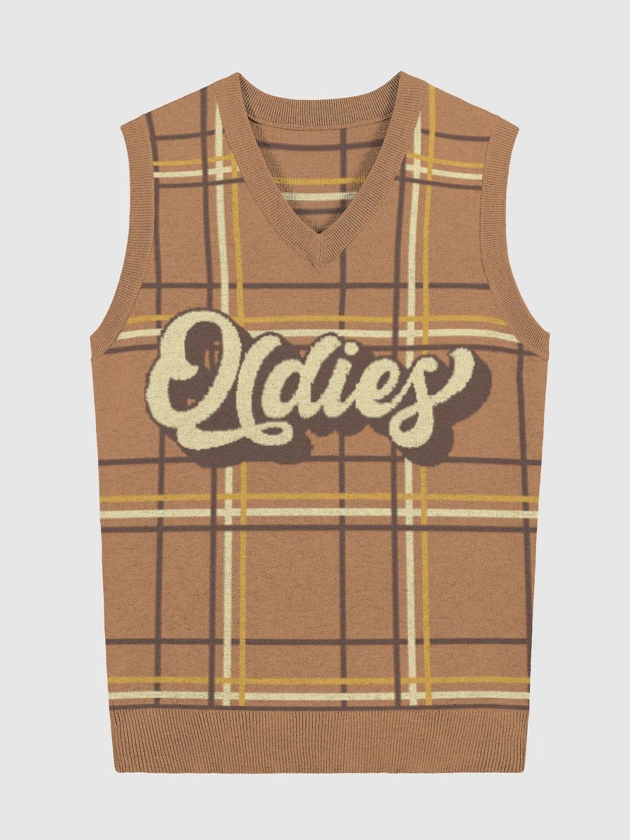 Plaid Perfection V-Neck Vest product image (2)