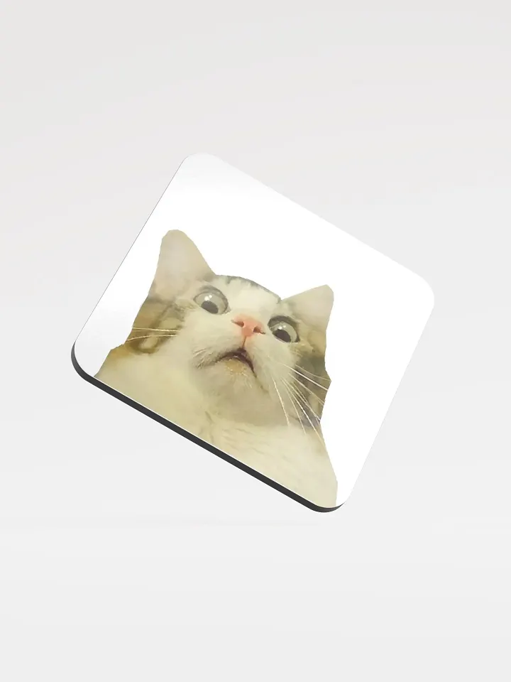 Glossed Cork Coaster: Meme Cats product image (1)