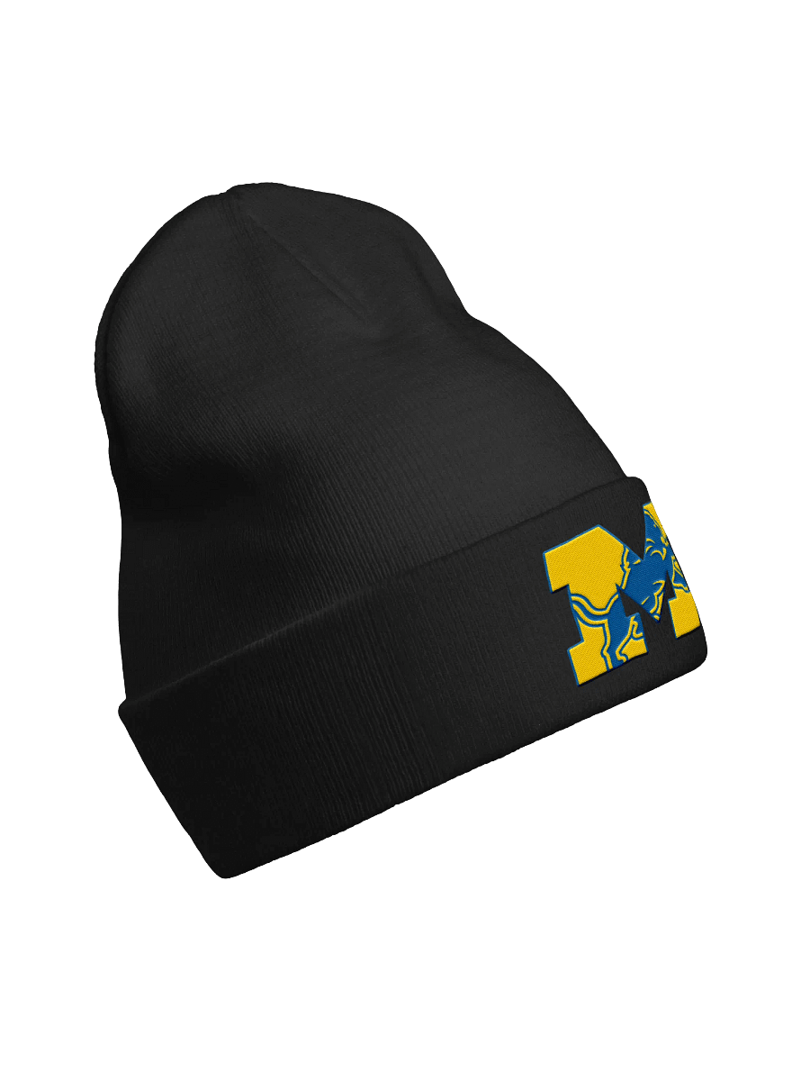Michigan Lions Beanie product image (3)