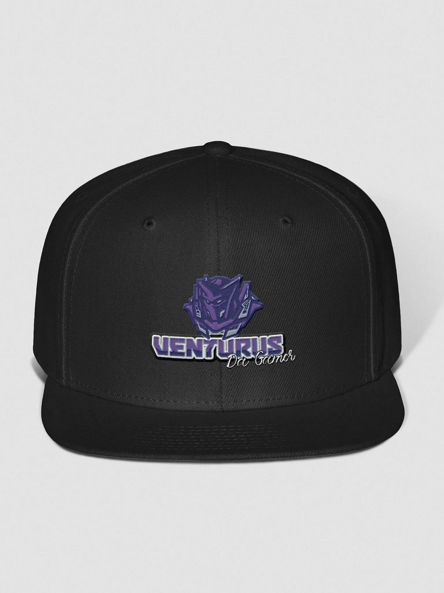 VDG Logo Snapback Cap product image (2)