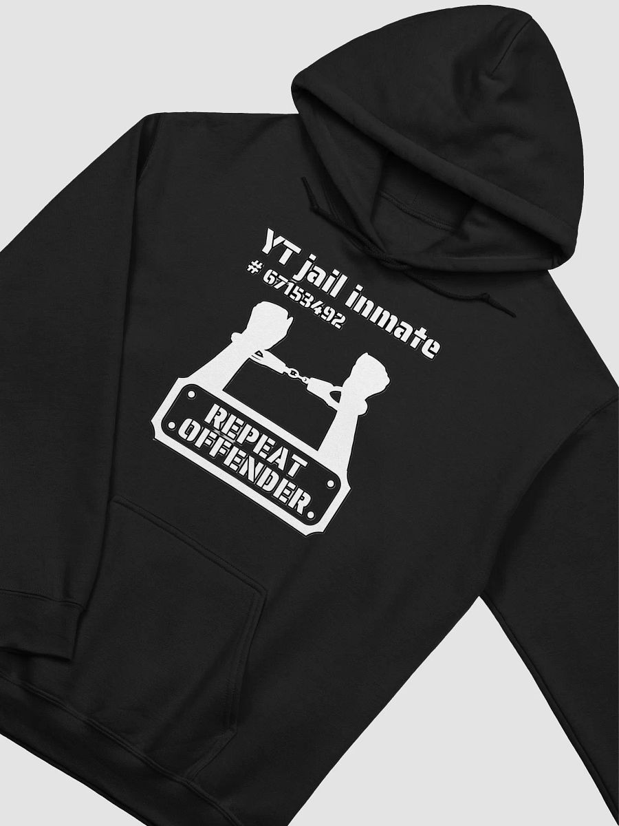 YT JAIL INMATE REPEAT OFFENDER product image (26)