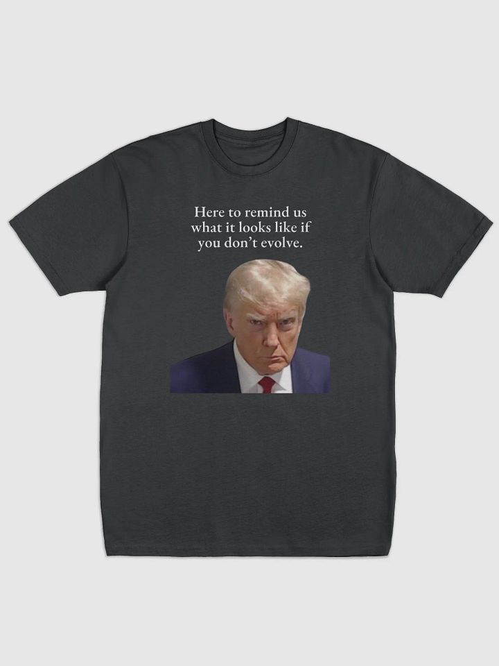 Here to remind us... Premium Cotton Heavyweight Tee product image (1)