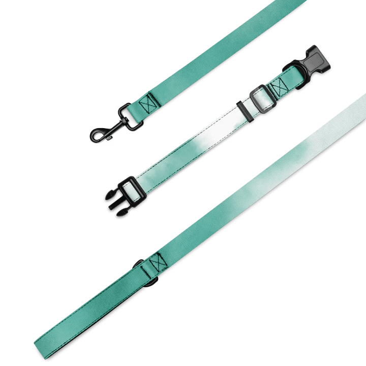 Teal Flow Pet Collar & Leash Set product image (4)