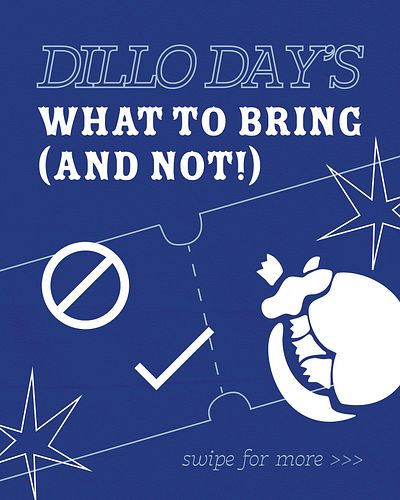 Dillo checklist time! Know what’s allowed and what’s not before you join the carnival tomorrow 🎁❌✅