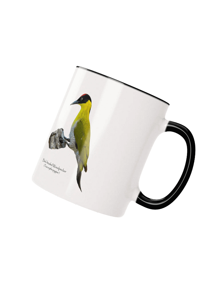 Black-headed Woodpecker mug product image (13)