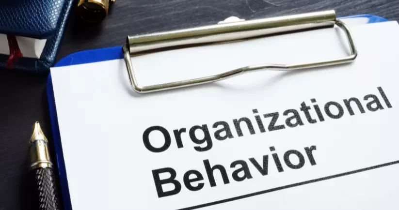 Organizational Behavior study notes product image (1)