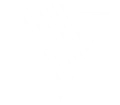 Heyimsteve's Store