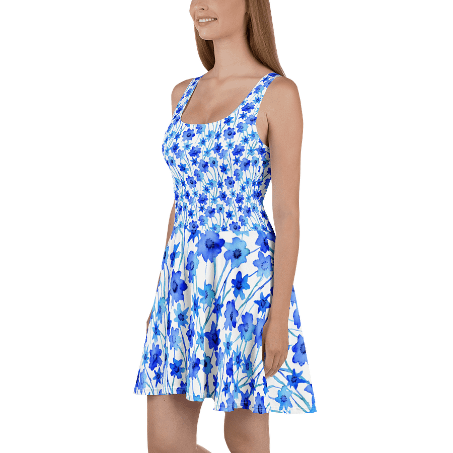 Blue Borage Skater Dress product image (1)