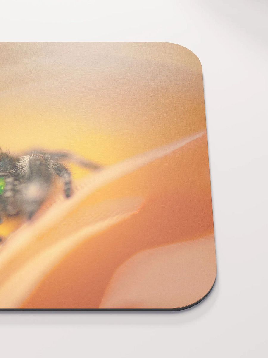Carl's Pad product image (5)