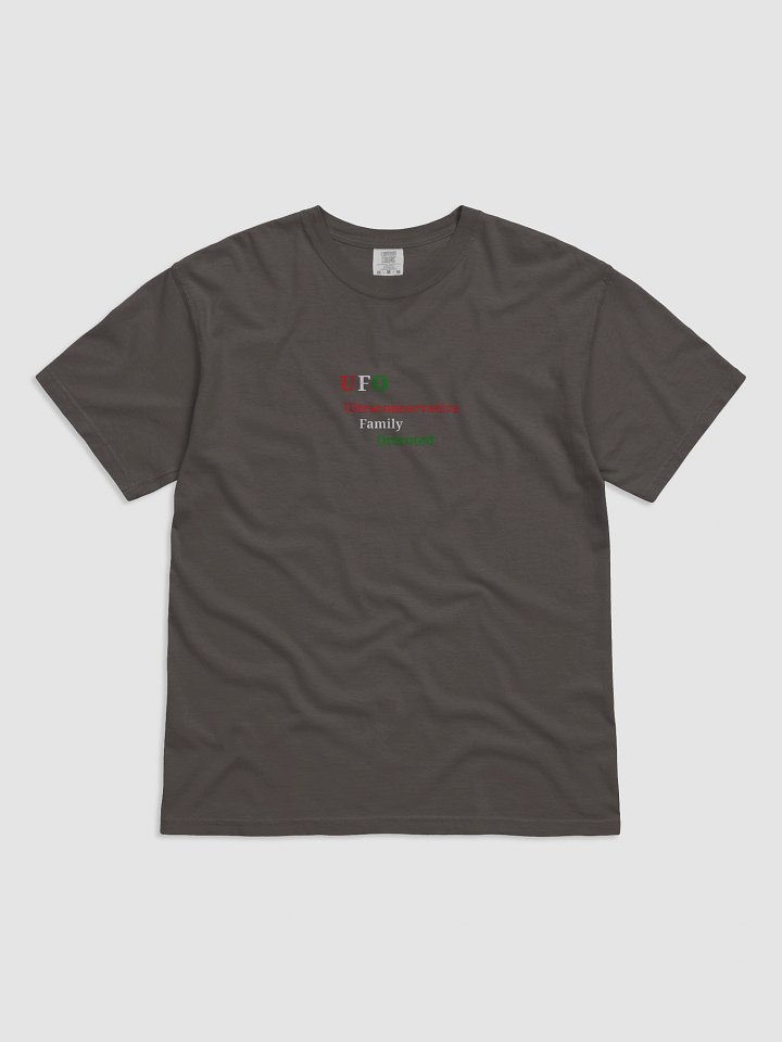 UFO Ultraconservative Family Oriented T-Shirt product image (1)