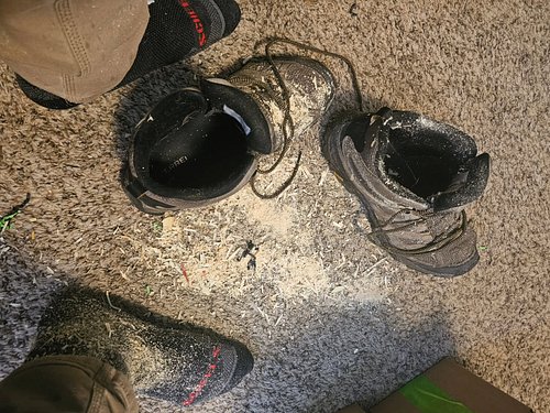 Boot removal after the carve lol! #chainsawart #chainsawcarving #woodcarving #finepinecarving