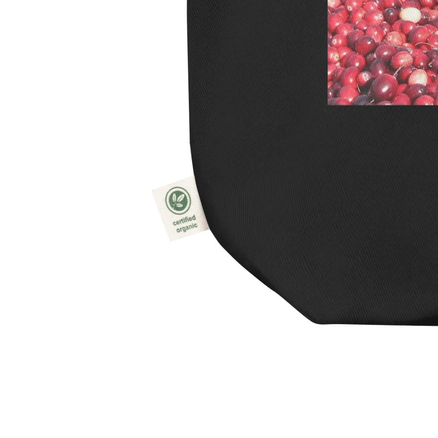 Plympton Red Tote Bag product image (12)