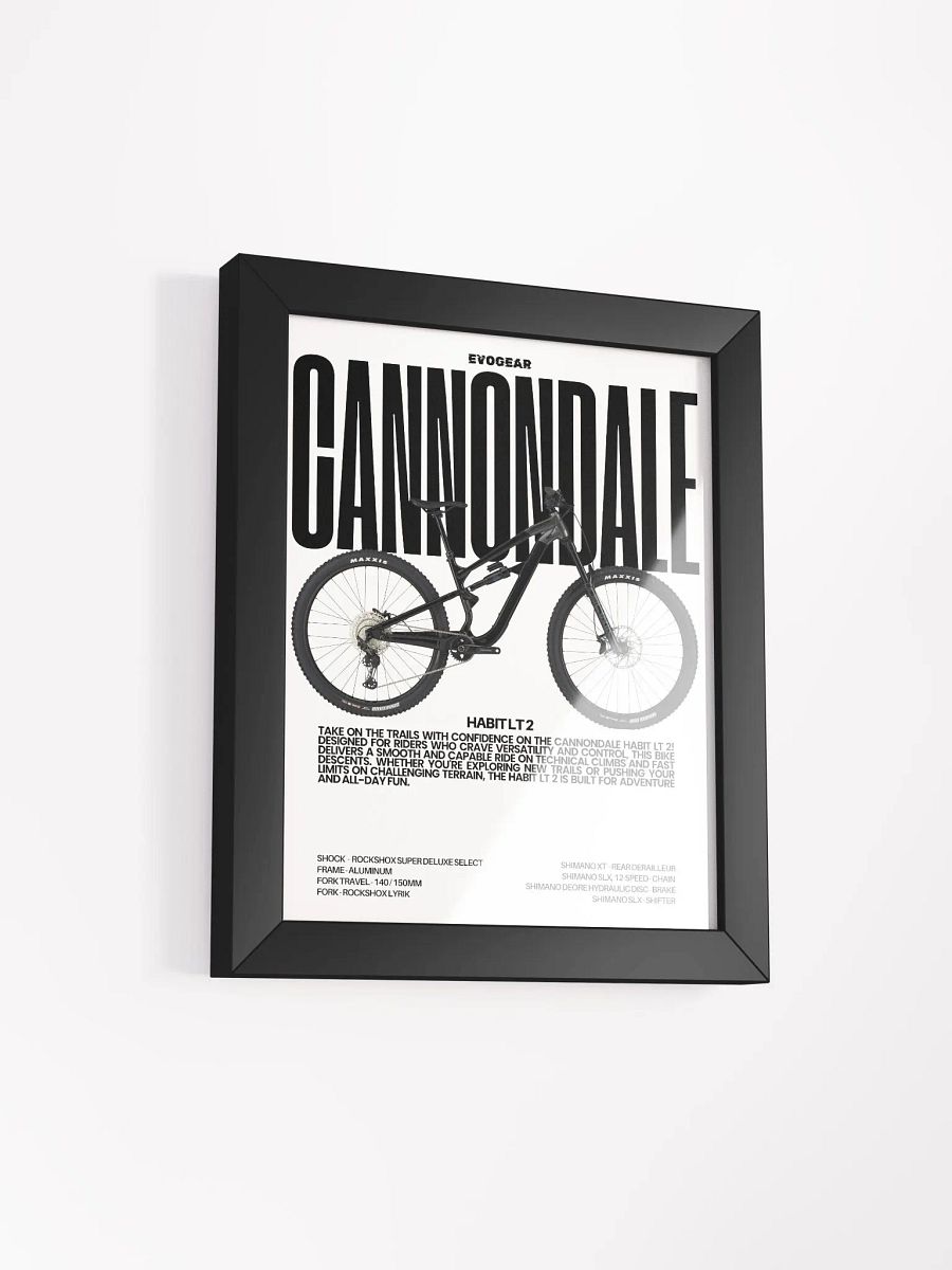 Cannondale Habit LT 2 Frame product image (6)