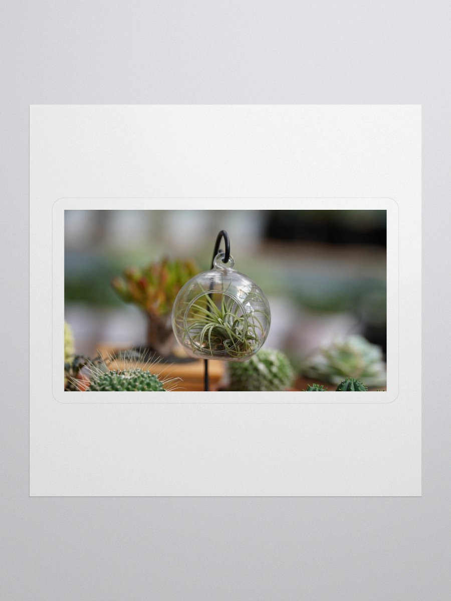 Suspended Air Plant Terrarium Sticker Set product image (1)
