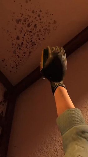 Take Myself Out | #susshimei on #Twitch