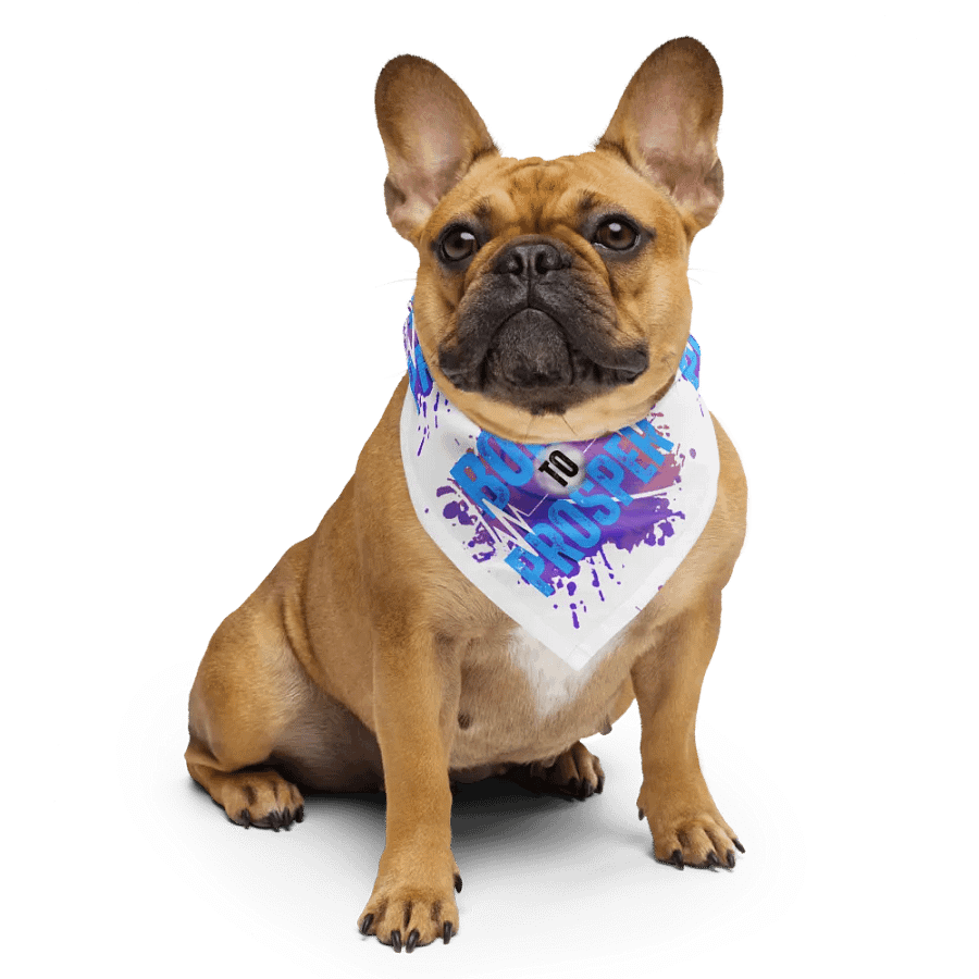 Born to Prosper Patterned Print Bandana product image (6)