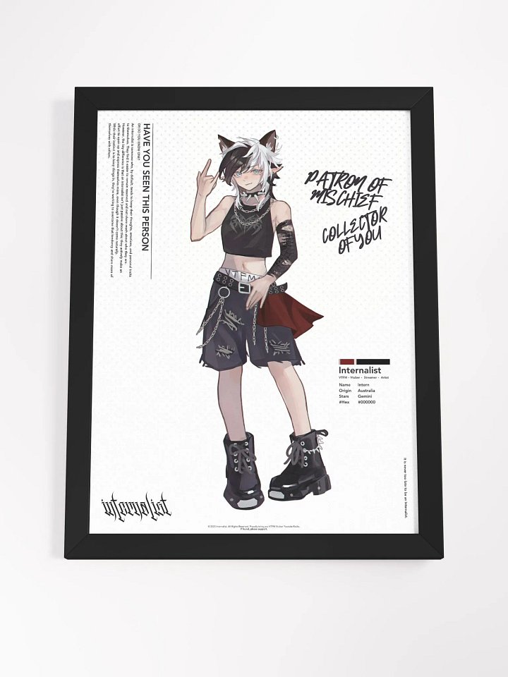 HAVE YOU SEEN THIS PERSON Framed product image (2)