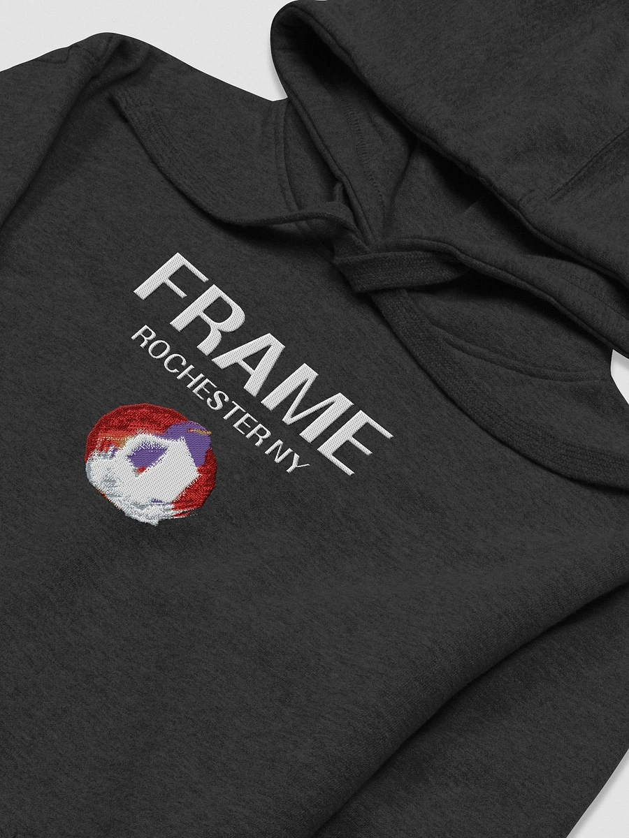Frame Embroidered Hoodie product image (3)