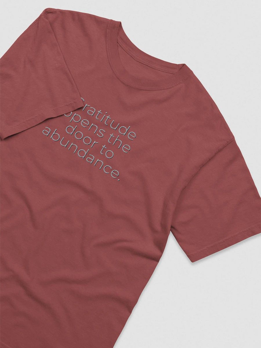 Comfort Colors® Embroidered T-Shirt - Gratitude Opens the Door to Abundance product image (3)