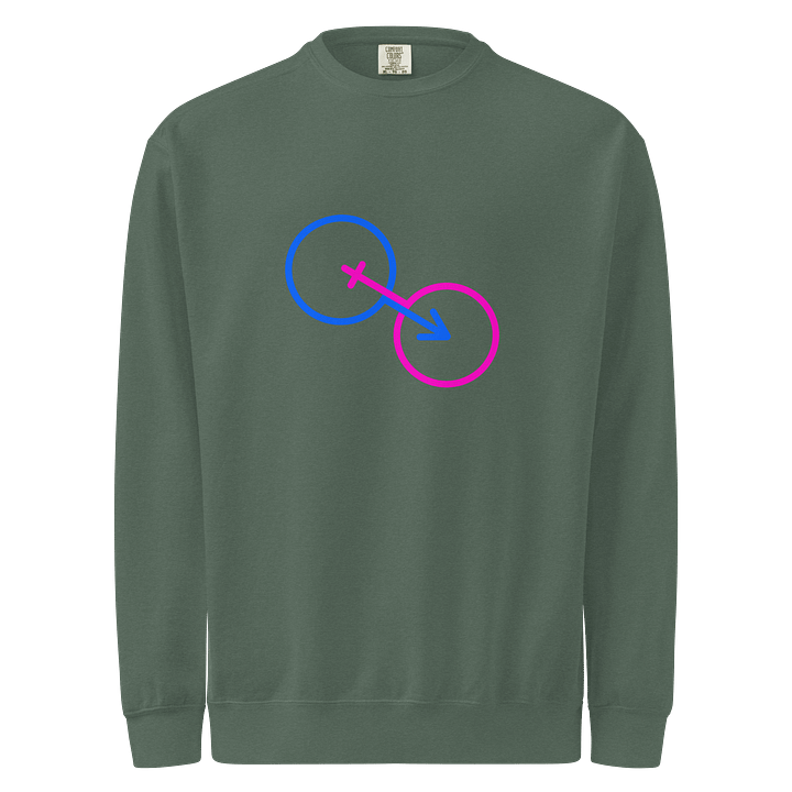 The Nature Of Two Genders Symbolic Sweatshirt product image (1)
