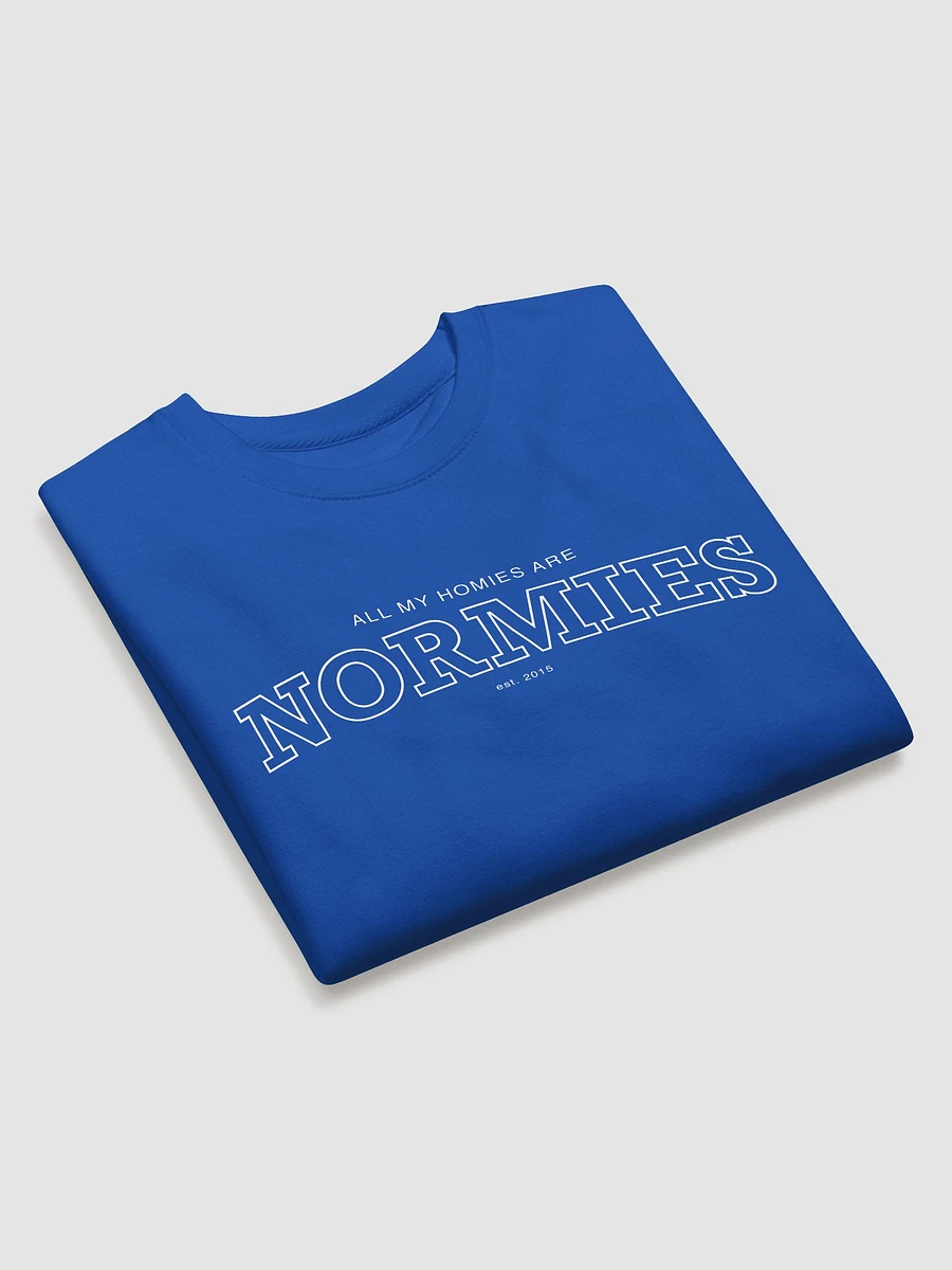 All of My Homies are Normies - Sweatshirt product image (3)