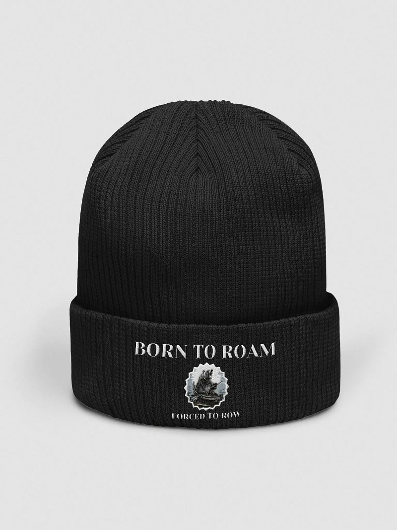 Born to Roam Beenie