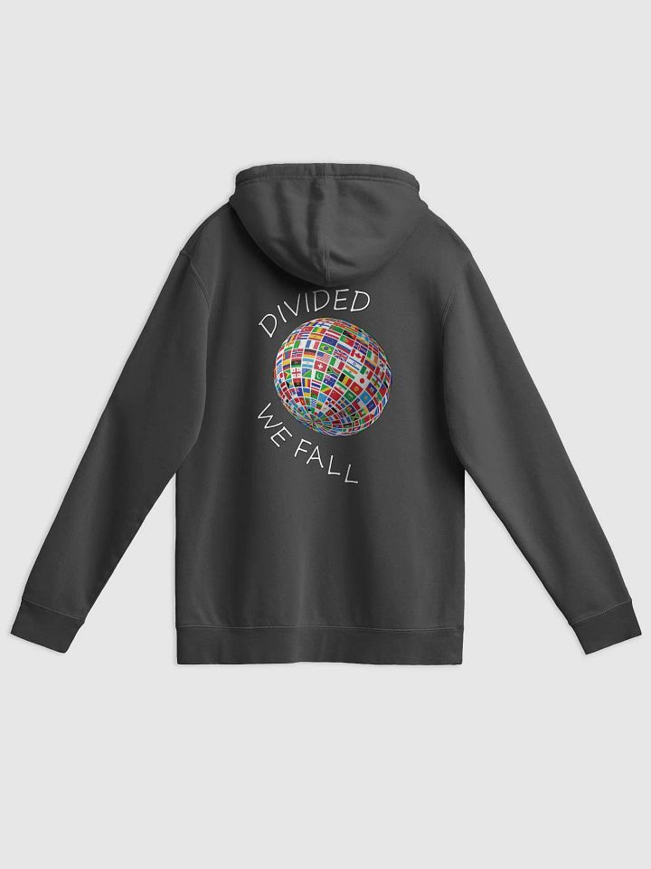 Divided We Fall - Nations - Globe - Independent Trading Co. Pigment Dyed Hoodie (BACK) product image (1)