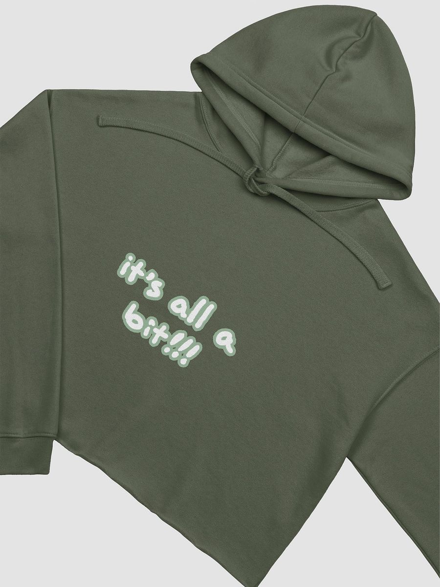 “It’s all a bit!!!” (lined design, #96B697) fleece cropped hoodie product image (13)