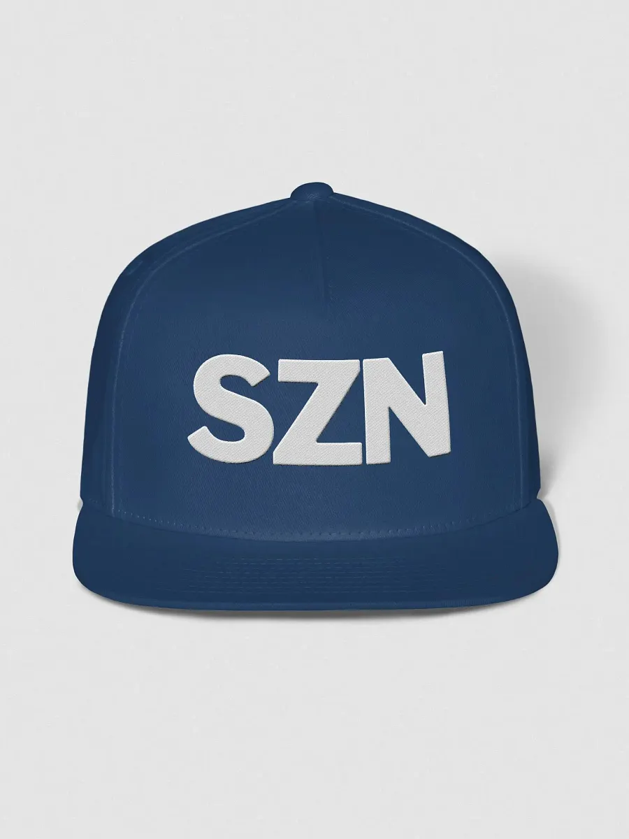 Flat Snapback Hat product image (19)