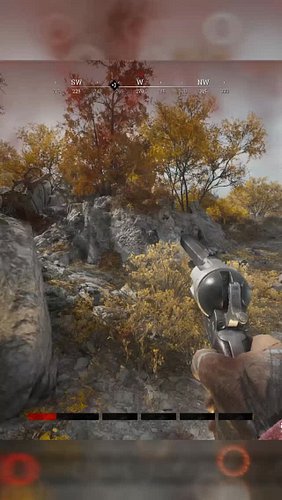 Rampaaaaaaage #HuntShowdown