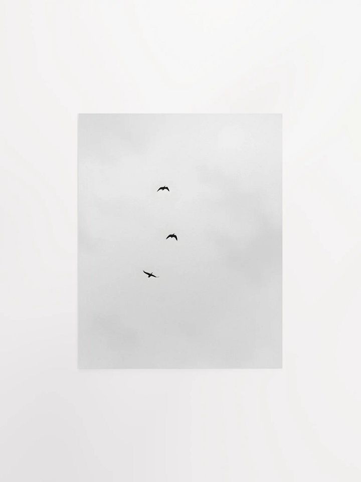 A Trio of Birds in Grayscale product image (2)