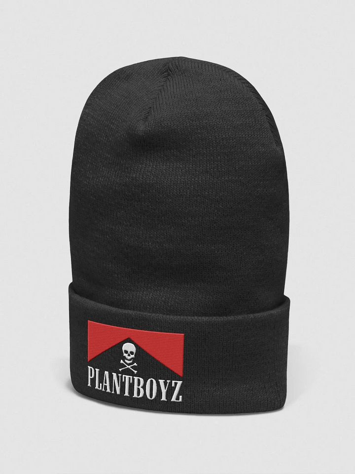 Flavor Country Beanie product image (2)