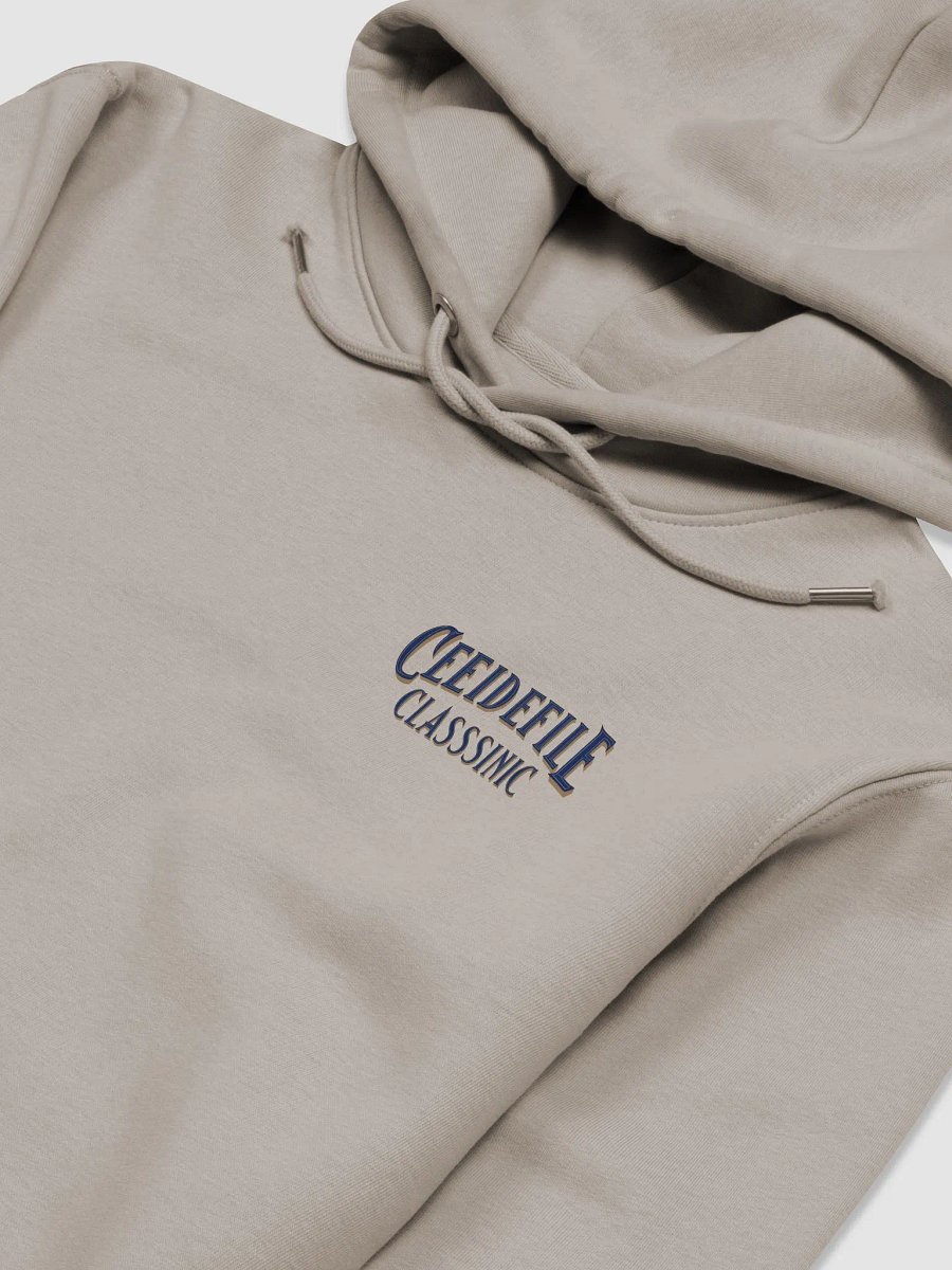 Eco Streetwear Organic Hoodie product image (3)
