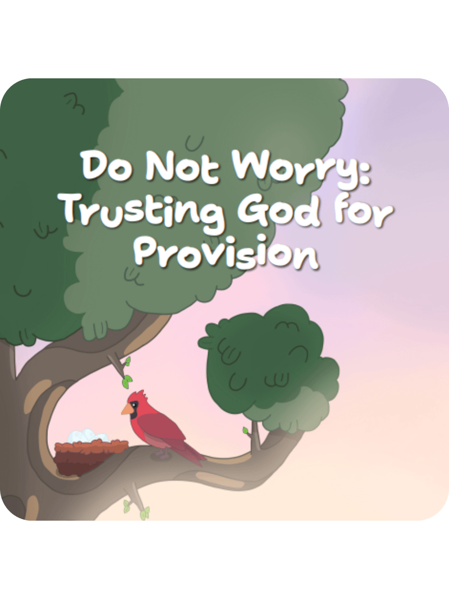 Do Not Worry: Trusting God for Provision product image (1)
