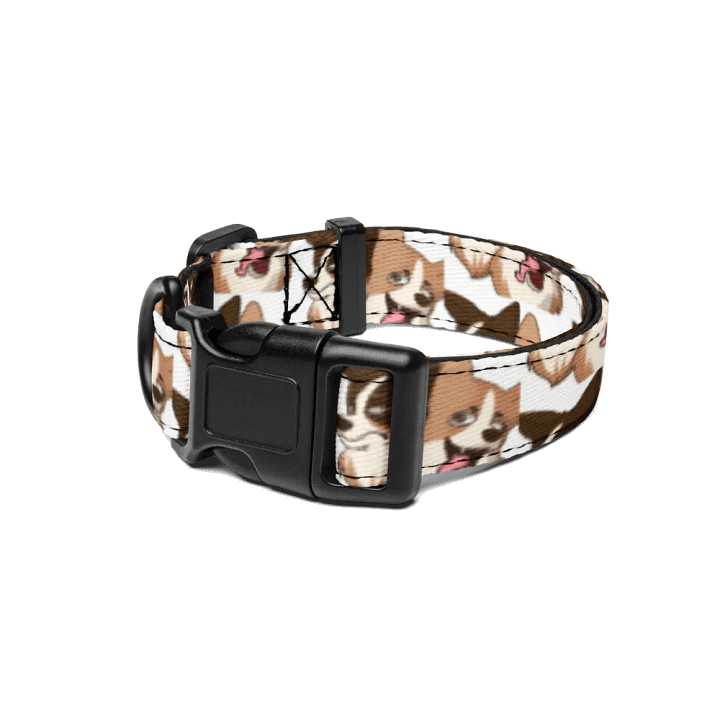 Winston & Walter Collar product image (1)