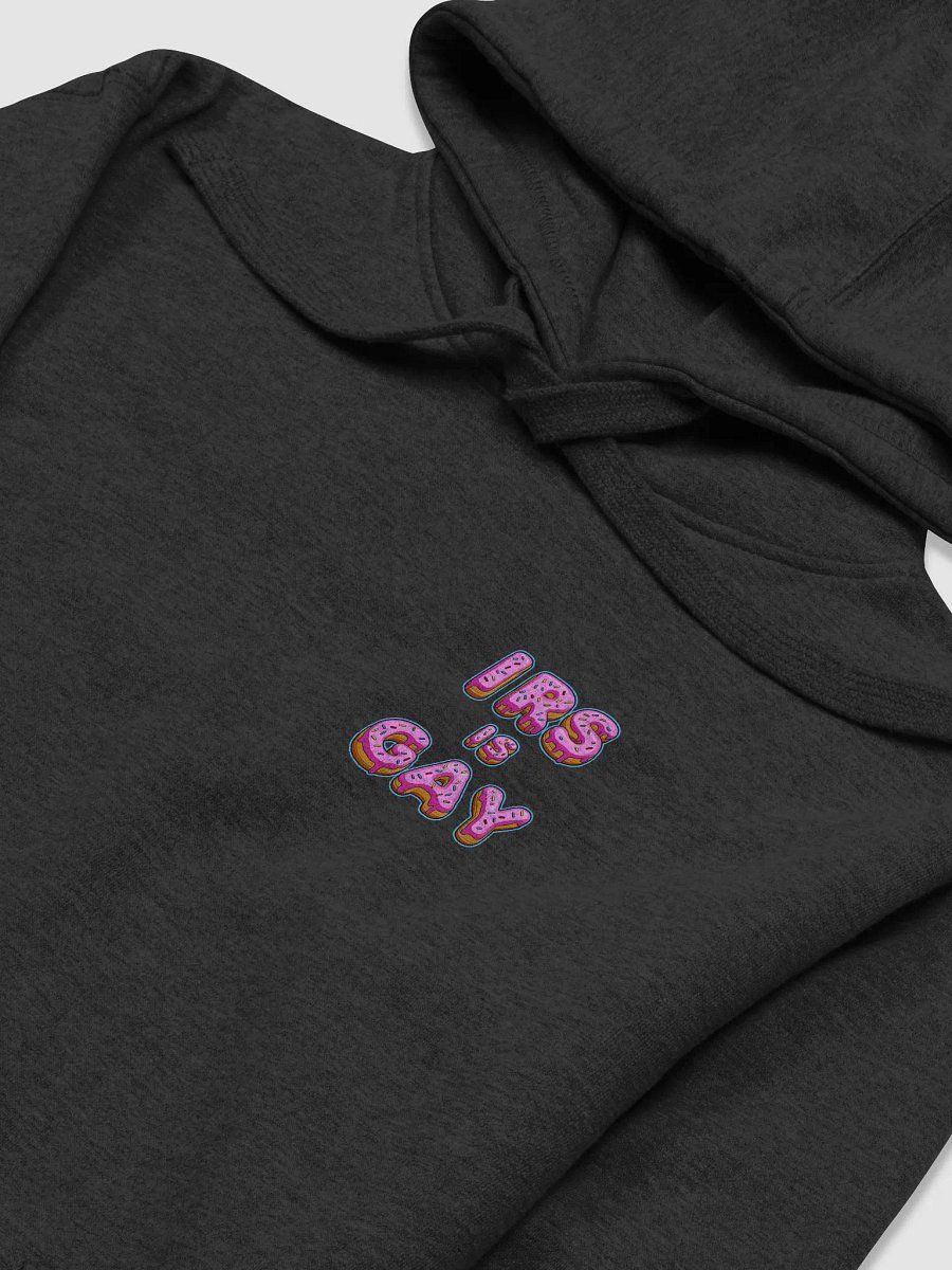 IRS IS GAY HOODIE product image (26)
