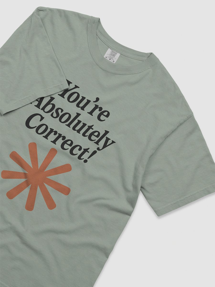 “You’re Absolutely Correct!” - AI Inside-Joke Unisex Tee | Dev & Data Nerd Gift product image (95)
