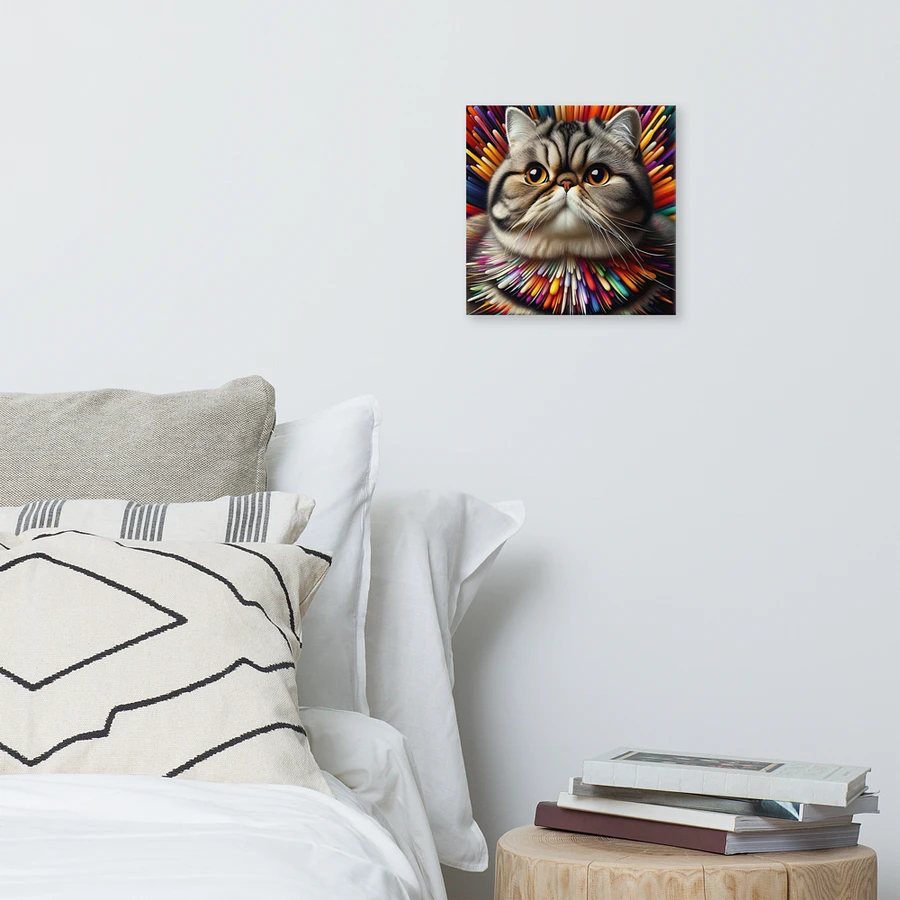 Canvas (in): Exotic Shorthair product image (6)