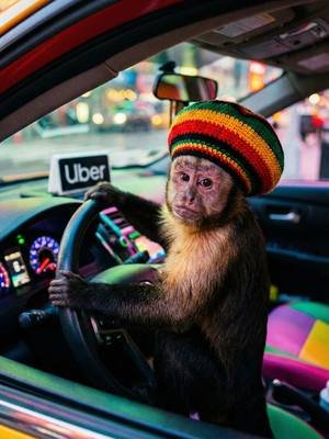 SMUGGLING DR*GS IN MY UBER🚗 #uber #rasta #monkey #funny #ai 