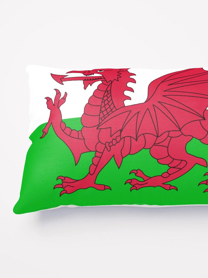 Welsh Flag Cushion product image (2)