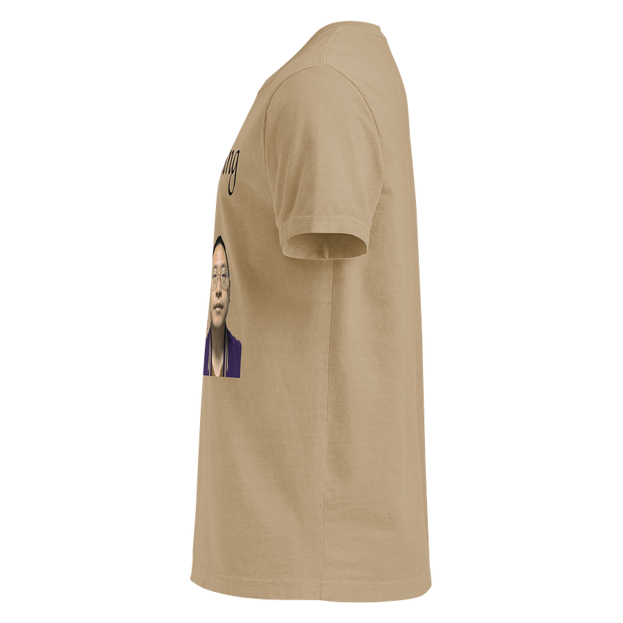 Bella+Canvas Unisex Oversized Garment-Dyed T-Shirt:fate product image (13)