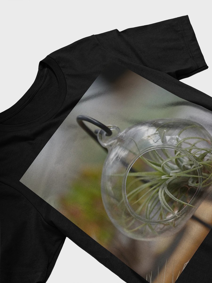 Suspended Air Plant Terrarium product image (3)