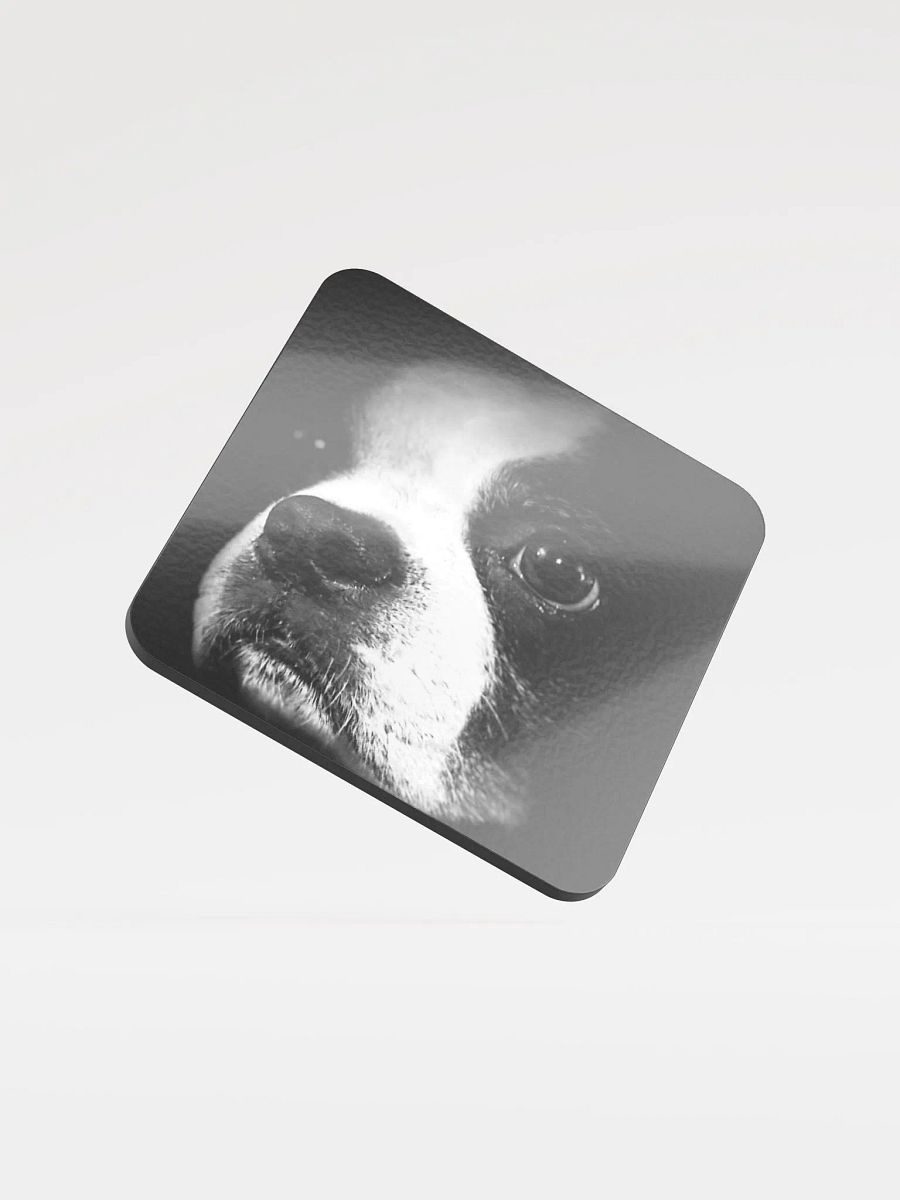 HOOGANCOASTER product image (1)