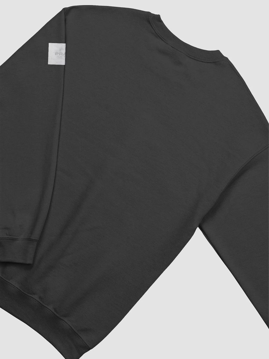 PRAISE Bold Crewneck Sweatshirt product image (22)