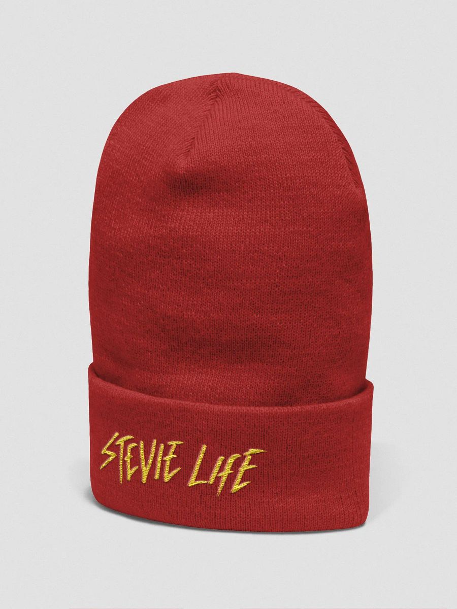 Stevielife Beanie product image (16)