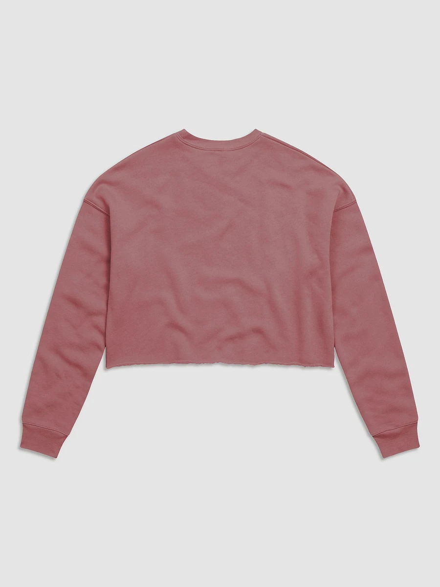 Holly Cropped Hoodie - PINK product image (2)