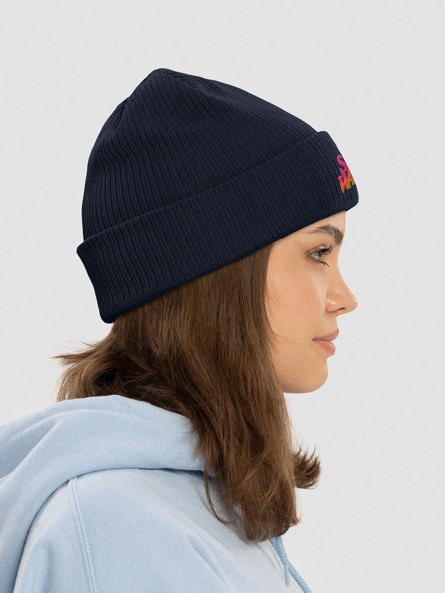 Rainbow Wackadoo Logo Embroired Beanie product image (51)