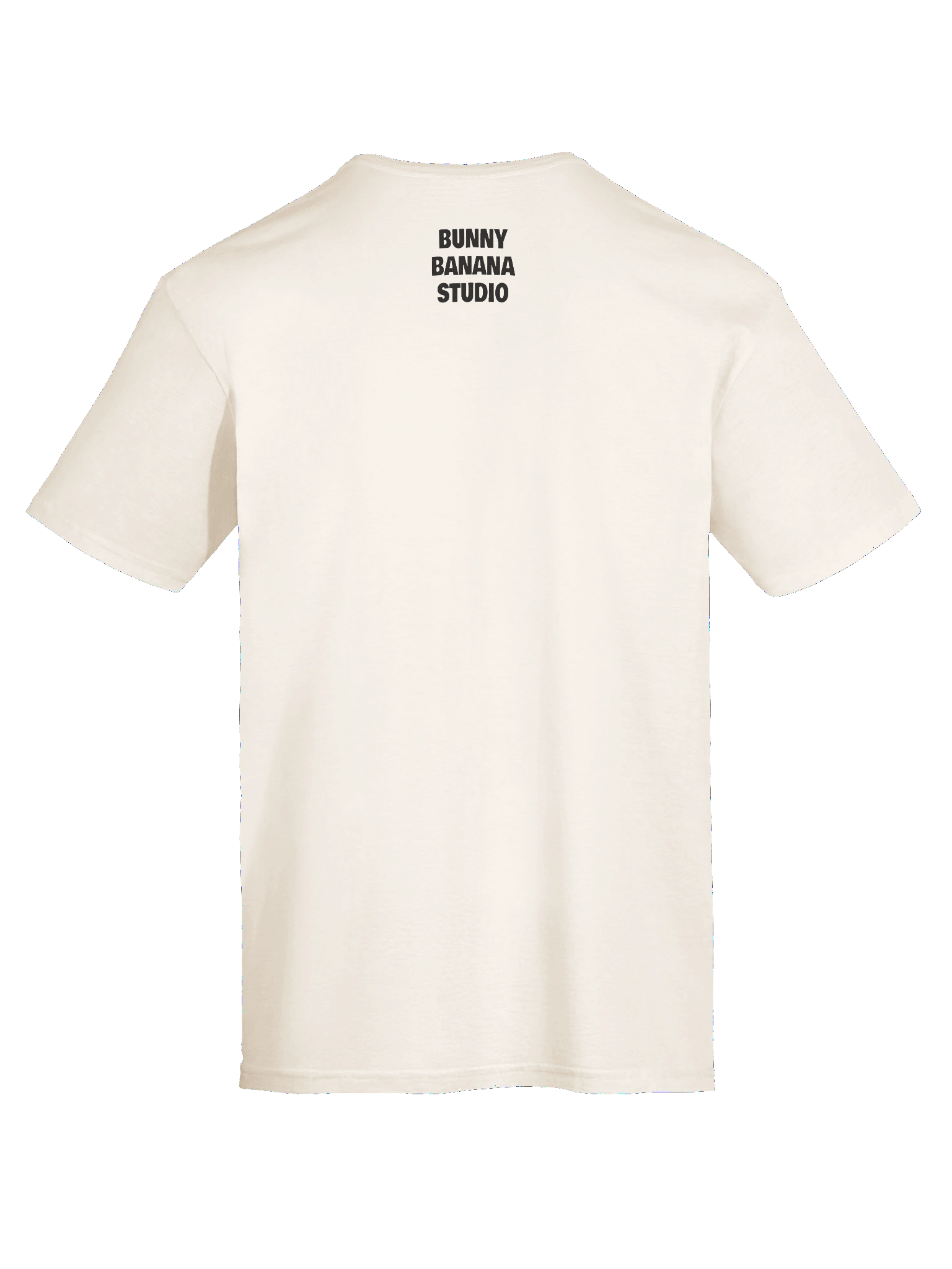 The Life of a Sims Girl - Light T-Shirt product image (11)